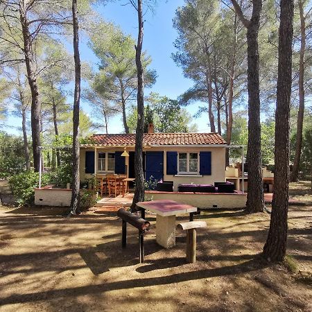 Maisonnette En Pleine Nature Le Beausset Εξωτερικό φωτογραφία