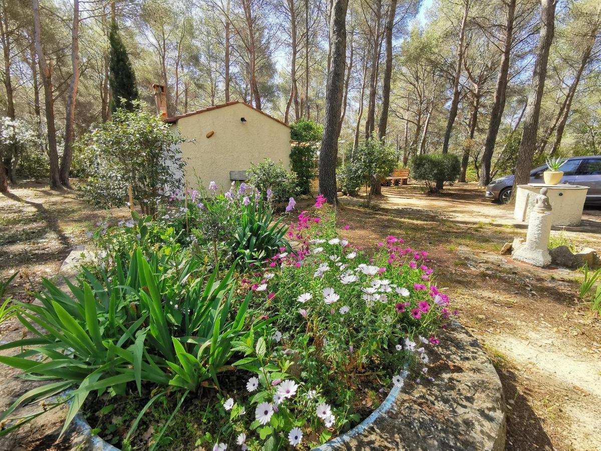 Maisonnette En Pleine Nature Le Beausset Εξωτερικό φωτογραφία
